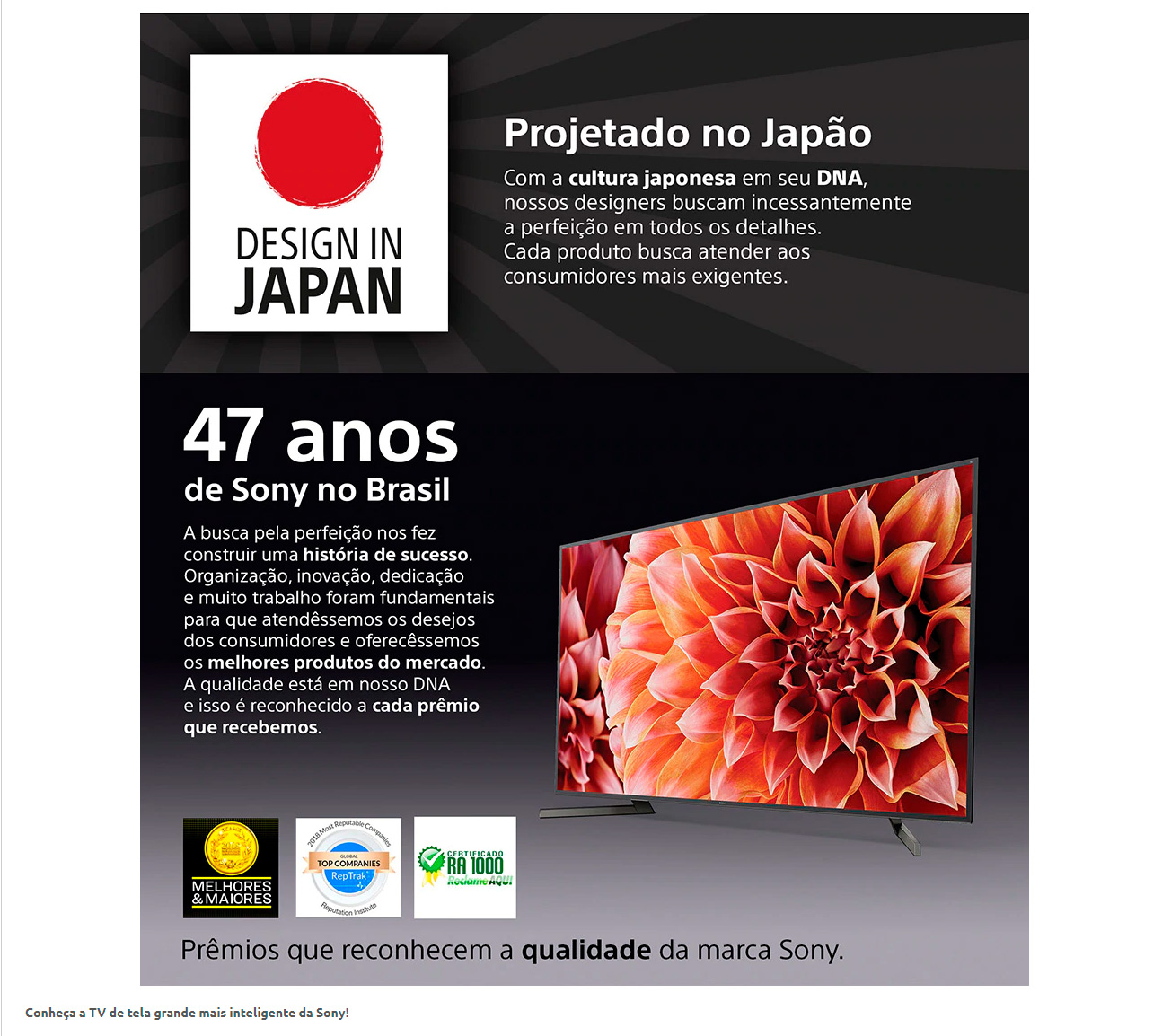 Smart TV LED 75 UHD 4K Sony BRAVIA XBR-75X905F X-Tended Dynamic Range, 4K X-Reality Pro, Wi-Fi e HDMI